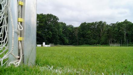 Aus Natur wird Kunst. Der große Rasenplatz des FSV Babelsberg 74 wird umgewandelt und erhält eine Beleuchtung.