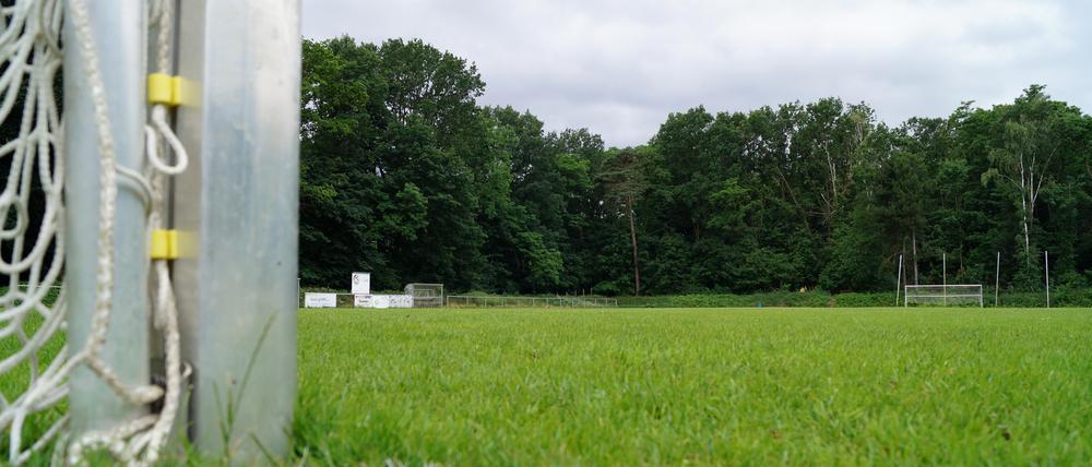 Aus Natur wird Kunst. Der große Rasenplatz des FSV Babelsberg 74 wird umgewandelt und erhält eine Beleuchtung.
