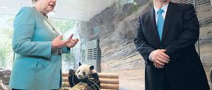 Willkommen. Die Kanzlerin begrüßte Meng Meng 2017 in Berlin