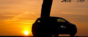 Brandenburg - findet das Leben woanders statt?