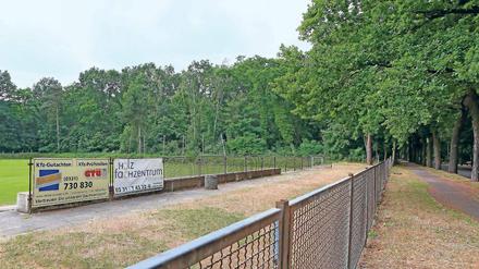 Nebenan. Das Waldstück grenzt an den Sportplatz des FSV Babelsberg 74.