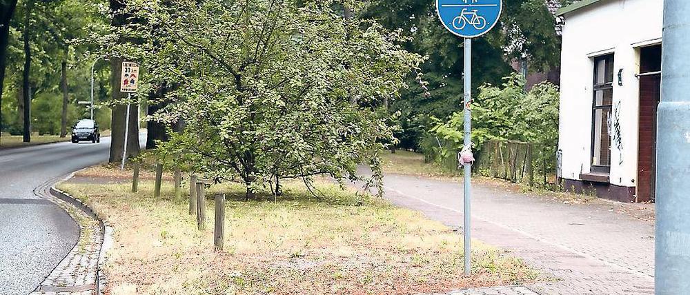 Streitfall. Noch stehen die Radwegschilder am Zehlendorfer Damm. Nach dem OVG-Urteil will die Gemeinde die Radler künftig nur noch auf der Straße fahren lassen. Der ADFC will aber eine Wahlfreiheit.
