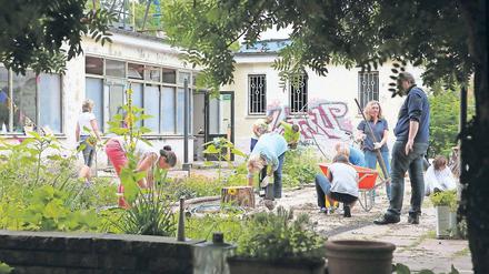 Voller Einsatz. Auf dem Gelände der Scholle 34 arbeiteten am Dienstag 120 Mitarbeiter der niederländischen Wessanen-Gruppe. Sie zupften Unkraut, bauten eine Überdachung und errichteten die Leinwand für das Freiluftkino, das nächste Woche startet.