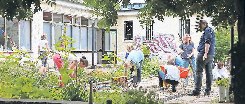 Voller Einsatz. Auf dem Gelände der Scholle 34 arbeiteten am Dienstag 120 Mitarbeiter der niederländischen Wessanen-Gruppe. Sie zupften Unkraut, bauten eine Überdachung und errichteten die Leinwand für das Freiluftkino, das nächste Woche startet.