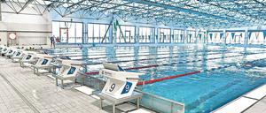 Schwimmpause. Die Arbeiten sollen rund neun Monate dauern.