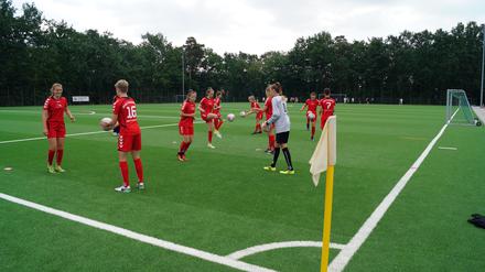 Beste Bedingungen. Der neue Untergrund wertet die Anlage auf. Neben dem Kunstrasenfeld bietet das Sportforum Waldstadt auch einen Naturrasenplatz.