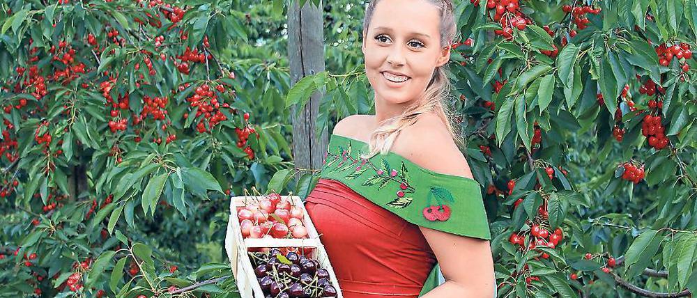 Königin der Kirschen. Melanie Mach freut sich über die gute Ernte.