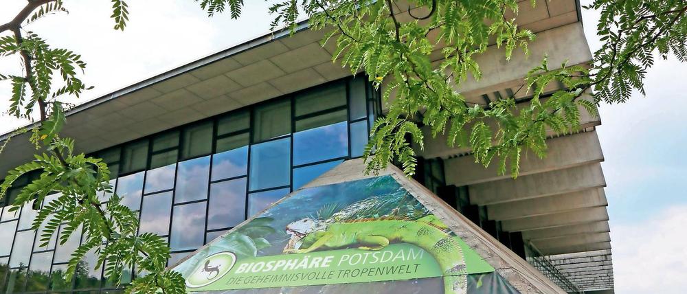 Märchenpalast. In den Sommerferien wird in der Biosphäre vorgelesen.