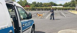 Spurensuche. Auch Polizeihunde kamen zum Einsatz.