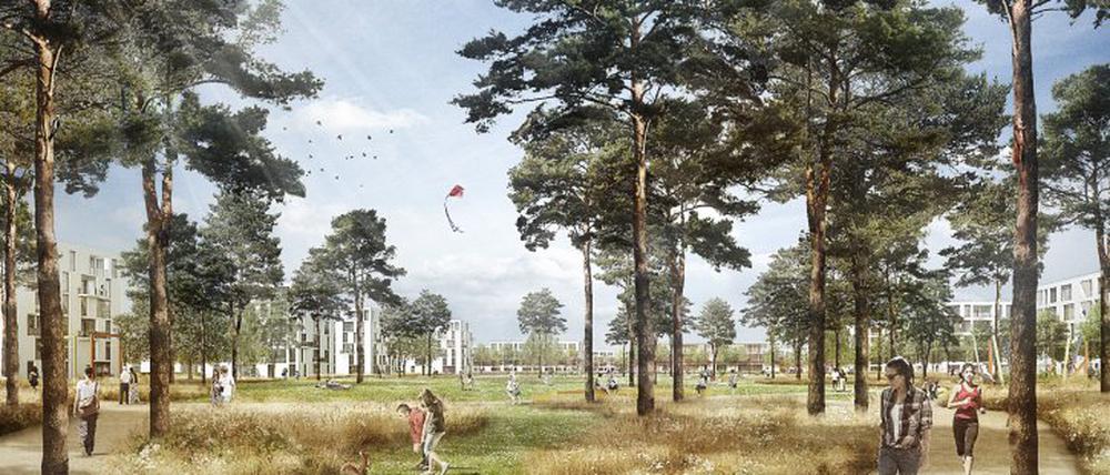 Erster Platz: Die Grünanlage in der Mitte des neuen Wohn- und Sozialquartiers in Krampnitz wurde in Anspielung auf den New Yorker "Central Park" entworfen.