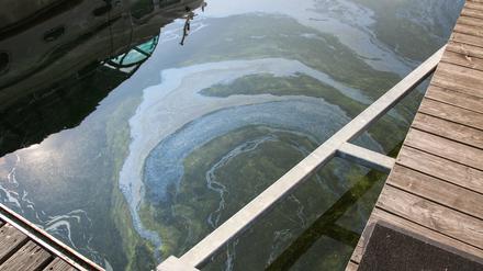 Havarie in der Marina: In einer Werft sind 50 Liter einer unbekannten Flüssigkeit ausgelaufen.