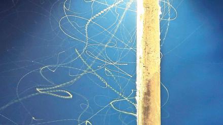 Leuchtende Falle. Für Insekten werden Lampen zur Gefahr.