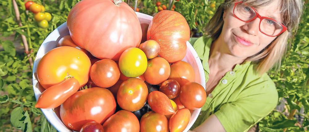 Farbspiel. Benedicta von Branca zeigt eine kleine Auswahl ihrer verschiedenen Tomatensorten. 220 verschiedene Nachtschattengewächse baut sie auf ihrem Demeterhof an.