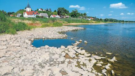 Das Wasser geht aus. Die Oder führt so wenig Wasser wie selten. Grund sind fehlende Niederschläge in Polen und Tschechien.