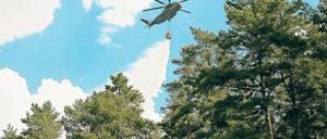 Wasser marsch! 20 Runden flog der Löschhubschrauber der Bundeswehr über dem brennenden Waldgebiet bei Fichtenwalde und schüttete je 5000 Liter Wasser über den Brand. Durch Munition im Boden war das Brandgebiet für die Feuerwehr nur bedingt zugänglich.