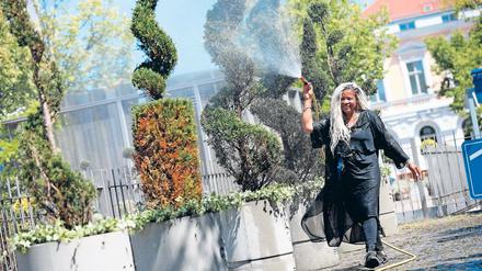 Herzenssache. Blumenfee Eleanora Terrelonge-Griffith de Franke bepflanzt seit fünf Jahren den Luisenplatz. Sechs neue Kübel hat sie gegenüber der Sparkasse aufgestellt.