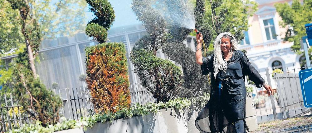 Herzenssache. Blumenfee Eleanora Terrelonge-Griffith de Franke bepflanzt seit fünf Jahren den Luisenplatz. Sechs neue Kübel hat sie gegenüber der Sparkasse aufgestellt.