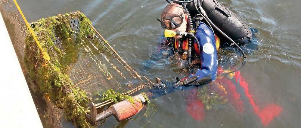 Schutt im Wasser. Zwei Einkaufswagen und Flaschen wurden ertaucht.