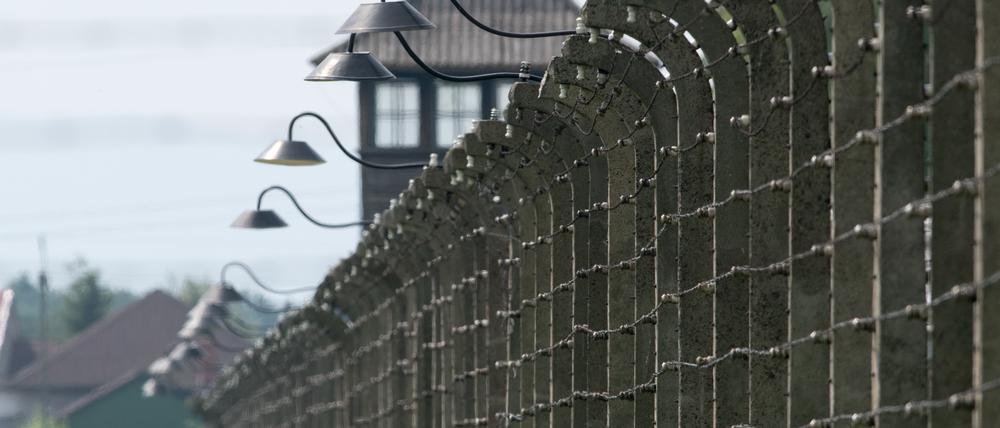 Mehrere Tage besuchen die Projektteilnehmer die Gedenkstätte in Auschwitz.