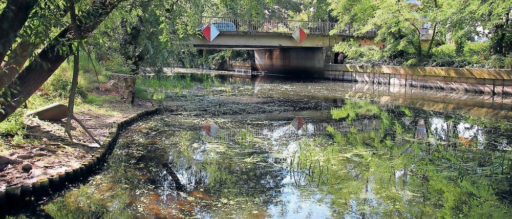 Unter Niveau. Die Nuthe, die sich nur aus Regenwasser speist, leidet mehr unter der Trockenheit als die Havel, ist aber von einem rekordverdächtigen Niedrigwasserstand weit entfernt. 120 Zentimeter beträgt der Pegel aktuell, nur fünf Zentimeter weniger als durchschnittlich im August. Die Havel hat sogar fast normales Niveau.