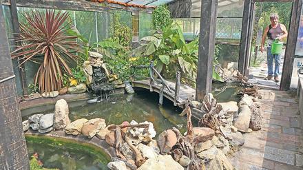 Herr der Fische. Detlef Leue war schon als Kind begeistert von Zierfischen. Inzwischen hat er sich in Lehnin ein kleines Biotop geschaffen, in dem mehrere Hundert Arten leben. Für Teiche und Wege nimmt er gern Materialien, die woanders nicht mehr benötigt werden.