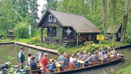 Gemächlich durchs Grüne. Auf Ausflügler wirkt der Spreewald derzeit wie eine Oase. Dort gibt es so viel Wasser, dass trotz Hitzewelle alles üppig grünt.