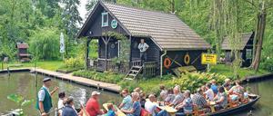 Gemächlich durchs Grüne. Auf Ausflügler wirkt der Spreewald derzeit wie eine Oase. Dort gibt es so viel Wasser, dass trotz Hitzewelle alles üppig grünt.