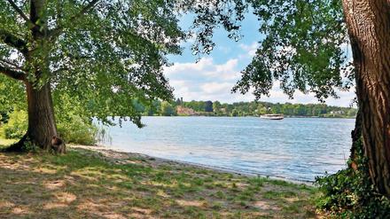 Heute wieder ein Idyll. Nichts erinnert im Neuen Garten mehr an die Zerstörung der wertvollen Gartenanlagen durch die frühere DDR-Grenze. Eine der Stelen des Informationspfades am Jungfernsee soll das ändern.