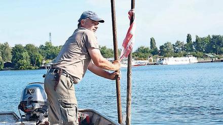 Karpfen. Der allesfressende Fisch wird bis zu 30 Kilogramm schwer.
