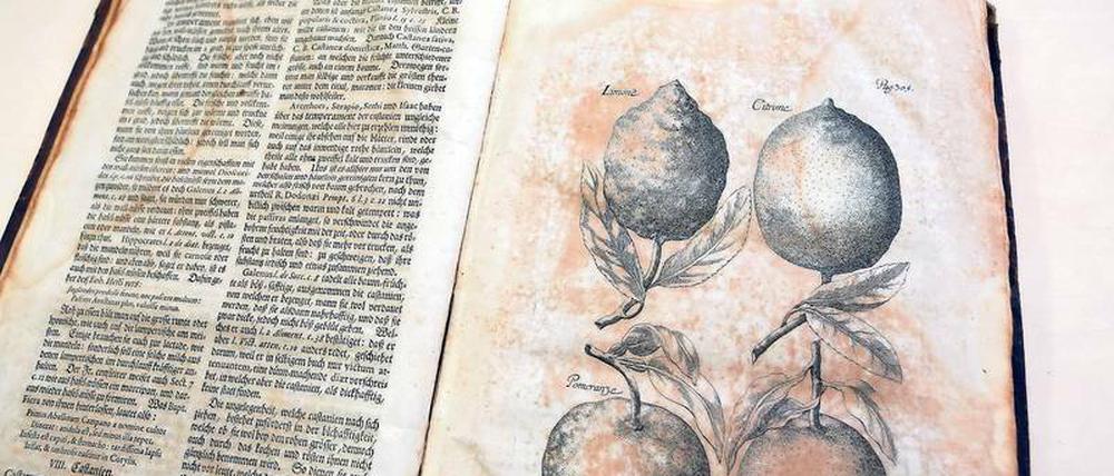Speisen aus Erdgewächsen. In seinem „Diaeticon“ schreibt der Botaniker Johann Sigismund Elsholtz schon 1682 auch über Südfrüchte. Die zweite Auflage aus dem Jahr 1715 gehört jetzt zum Bestand der Bibliothek und wird mit Hilfe einer Spende des Buchpaten Günter Duwe aus Teltow restauriert.Foto: Andreas Klaer