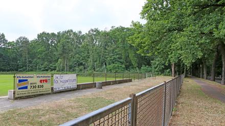 Die Pläne für einen möglichen zusätzlichen Sportplatz betreffen das Waldstück an der Tram-Wendeschleife in der Rudolf-Breitscheidt-Straße.