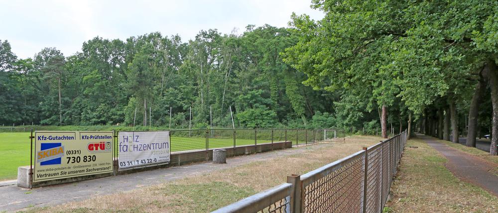 Die Pläne für einen möglichen zusätzlichen Sportplatz betreffen das Waldstück an der Tram-Wendeschleife in der Rudolf-Breitscheidt-Straße.