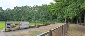 Die Pläne für einen möglichen zusätzlichen Sportplatz betreffen das Waldstück an der Tram-Wendeschleife in der Rudolf-Breitscheidt-Straße.