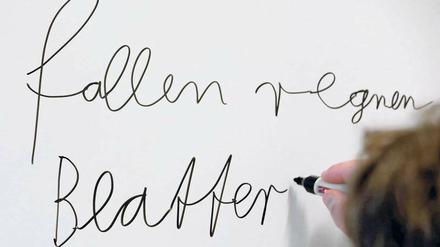 Grundkenntnisse nachholen. Wer in der Grundschule lange krank ist oder Probleme mit Sehen und Hören hat, kann zum Analphabeten werden. Im Potsdamer Grundbildungszentrum können Betroffene lesen und schreiben lernen. Foto: Bernd Wüstneck/dpa