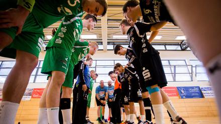 Schulterschluss. Der VfL Potsdam und HV Grün-Weiß Werder arbeiten wieder zusammen. Vor zwei Jahren waren sie Kontrahenten in Liga drei.
