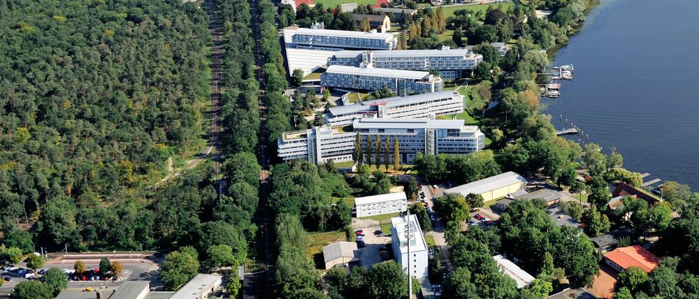 Die Stadt plant ein neues Wohnviertel am Bahnhof Pirschheide. Dafür soll auch ein Waldstück (l.) geopfert werden.