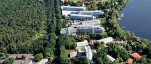 Die Stadt plant ein neues Wohnviertel am Bahnhof Pirschheide. Dafür soll auch ein Waldstück (l.) geopfert werden.