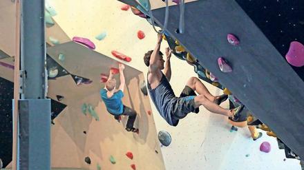 Sportliche Herausforderungen. Den richtigen Weg zu finden, ist eine der Aufgaben beim Bouldern.