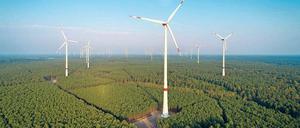 200 Meter hoch sind die Windräder, die sich bald auch schon über die Reesdorfer Heide erheben könnten.