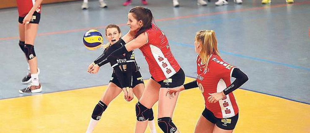 Am Ball. Eva Hodanova (M.) ist eine von vielen Neuen beim SCP.