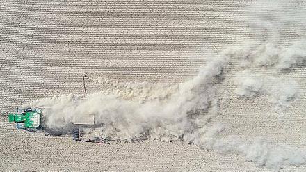 Ganz schön staubig. Für Brandenburgs Bauern war der Rekord-Sommer eine Rekord-Katastrophe. 