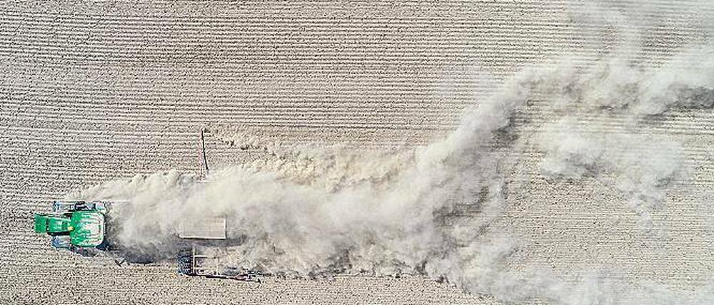 Ganz schön staubig. Für Brandenburgs Bauern war der Rekord-Sommer eine Rekord-Katastrophe.