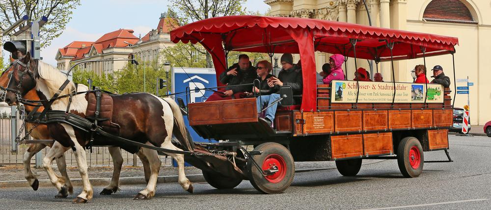 Kutschfahrt für Touristen am Luisenplatz in Potsdam.