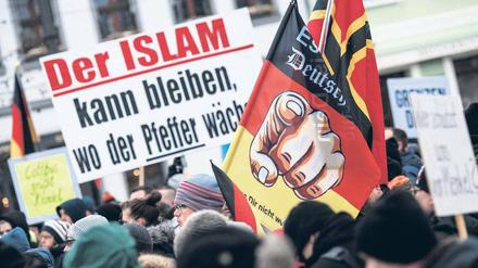 Populisten laufen nie einer Stimmung hinterher, so der Potsdamer Politologe Gideon Botsch. Sie erzeugen vielmehr Stimmungen und präsentieren diese dann als die des Volkes. Hier Teilnehmer einer Demonstration des Bürgervereins „Zukunft Heimat“ gegen Flüchtlinge in Cottbus.