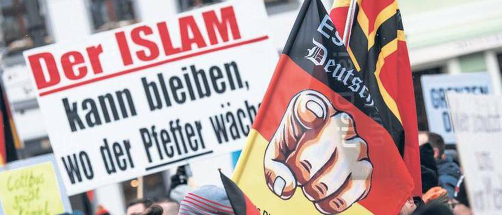 Populisten laufen nie einer Stimmung hinterher, so der Potsdamer Politologe Gideon Botsch. Sie erzeugen vielmehr Stimmungen und präsentieren diese dann als die des Volkes. Hier Teilnehmer einer Demonstration des Bürgervereins „Zukunft Heimat“ gegen Flüchtlinge in Cottbus.