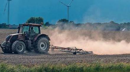 Während im vergangenen Jahr die Böden teilweise durchnässten, trockneten sie im Sommer 2018 zuweilen völlig aus. 