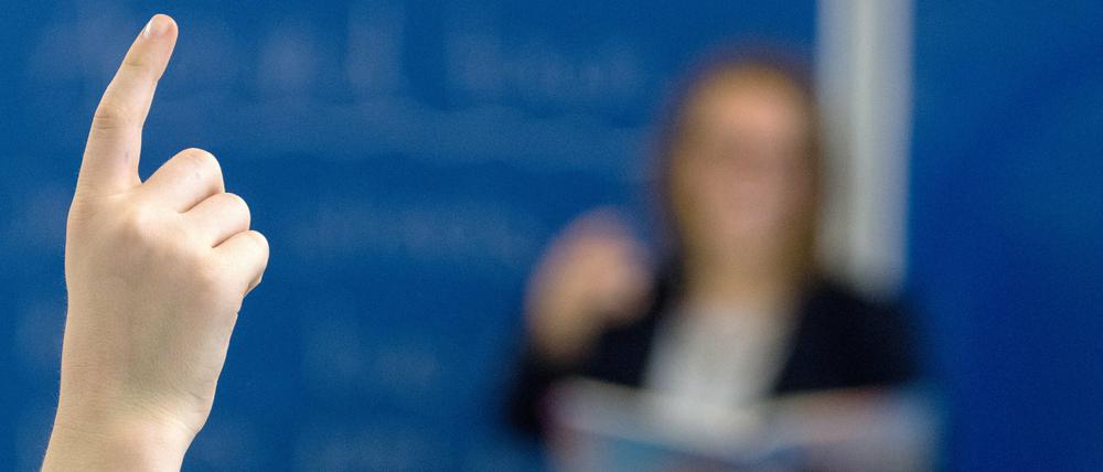 Auch in Brandenburg ist das umstrittene Lehrer-Meldeportal der AfD gestartet.