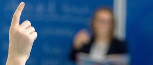 Auch in Brandenburg ist das umstrittene Lehrer-Meldeportal der AfD gestartet.