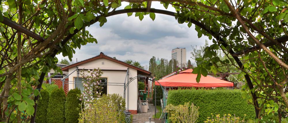 Gartenglück in Potsdam. 900 Kleingärten fehlen momentan schon.