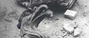 Der preußische Adler mit Kriegsschäden. Ein symbolhaftes Foto von der Fassade des Berliner Schlosses.